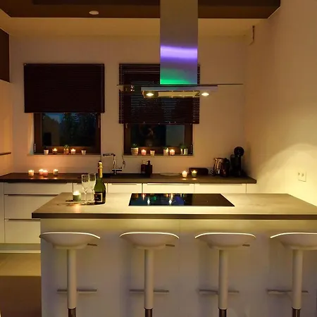 Suitedreams-jungle - *