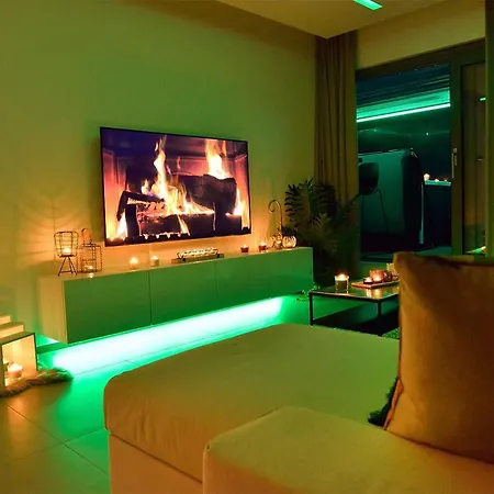 Suitedreams-jungle -