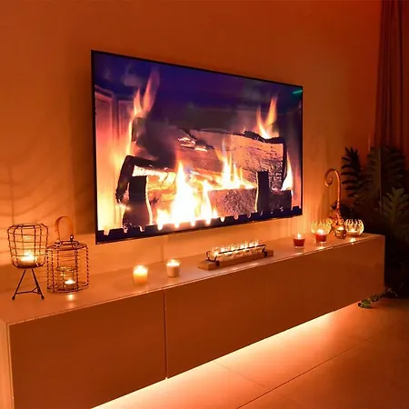 Suitedreams-jungle - Lutych