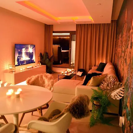 Suitedreams-jungle - Lutych