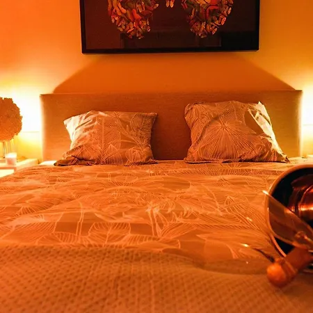 Suitedreams-jungle - Lutych