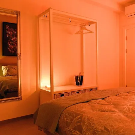 Suitedreams-jungle -