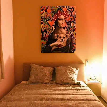 Suitedreams-jungle - Liège