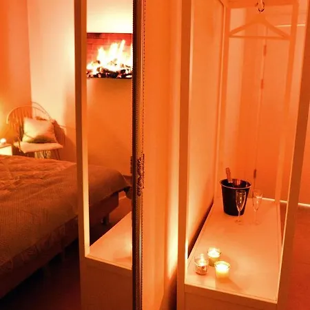 Suitedreams-jungle - *