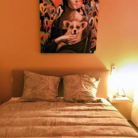 Apartament Suitedreams-jungle - *